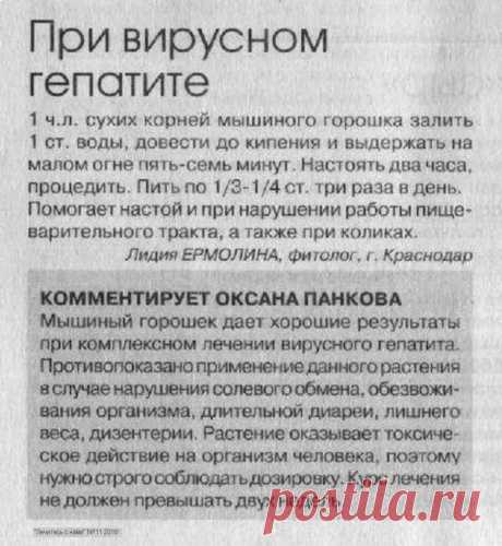 При вирусном гепатите