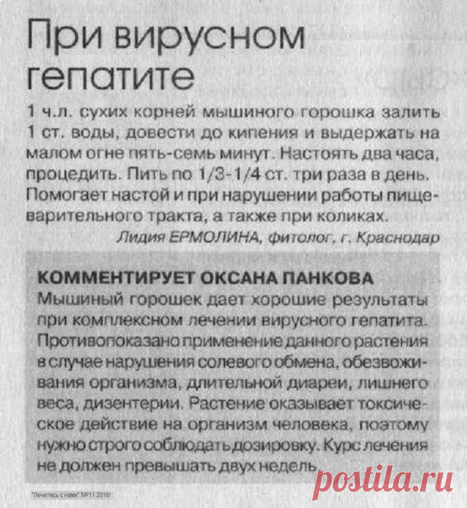 При вирусном гепатите