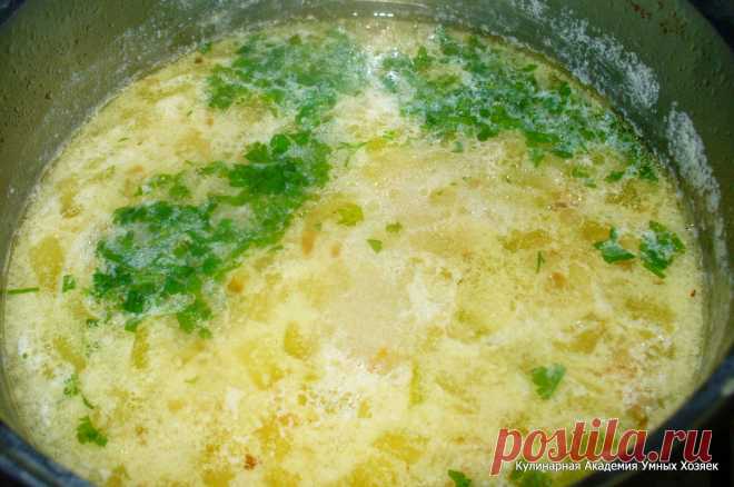 Сырный супчик с кабачками.