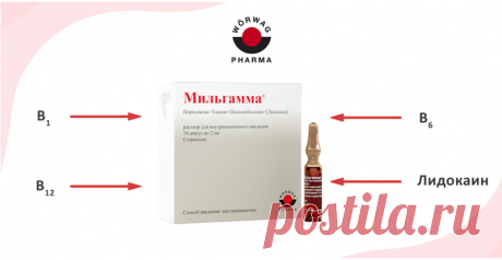 Фармацевтическое обоснование комбинации действующих и вспомогательных веществ в препарате Мильгамма Как инновационная фармацевтическая технология позволила объединить в одном препарате и стабилизировать витамины В1, В6 и В12, взаиморазрушающиеся в обычных условиях, смотрите в нашем видео.