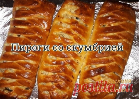 Дневник Provizor25