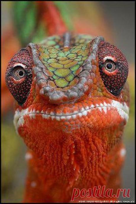 100 чудес света. Добавлена фотография в альбом Наши (НЕ ЛИЧНЫЕ) .Не более 1-го фото...