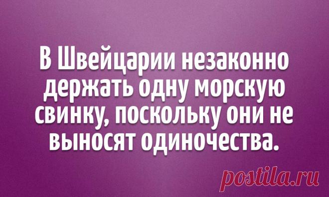 17 интересных фактов о разных странах, которые окажутся для вас сюрпризом