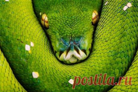 Как зарабатывать сидя дома в декрете? Времени мало, ребенка не с кем оставить, а все предложения в Интернете требуют вложений?.. Я нашла для себя ответ. Я зарабатываю через Интернет и получаю деньги за то, что я сменила обычный магазин на интернет-магазин классной компании. Теперь покупаю себе по оптовой цене шампуни, мыла и т.п. у производителя. И получаю доход за то, что рассказываю о такой возможности заработка через интернет. Узнать больше по ссылке