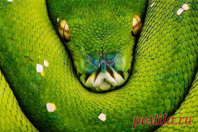 Как зарабатывать сидя дома в декрете? Времени мало, ребенка не с кем оставить, а все предложения в Интернете требуют вложений?.. Я нашла для себя ответ. Я зарабатываю через Интернет и получаю деньги за то, что я сменила обычный магазин на интернет-магазин классной компании. Теперь покупаю себе по оптовой цене шампуни, мыла и т.п. у производителя. И получаю доход за то, что рассказываю о такой возможности заработка через интернет. Узнать больше по ссылке