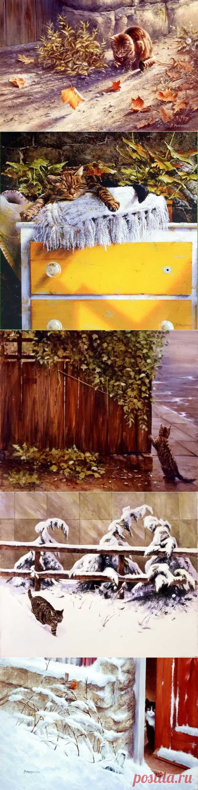 Кошачья тематика.Paul Monteagle