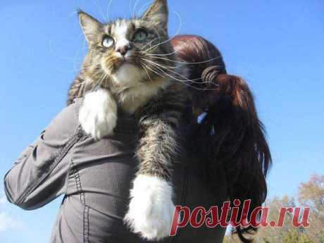 geram: Каким судом судите,таким будете судимы;и какою мерою мерите,такою и вам будут мерить---Иисус Христос