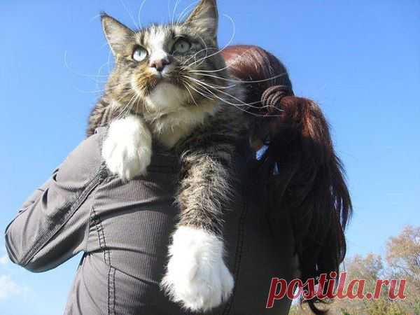 geram: Каким судом судите,таким будете судимы;и какою мерою мерите,такою и вам будут мерить---Иисус Христос