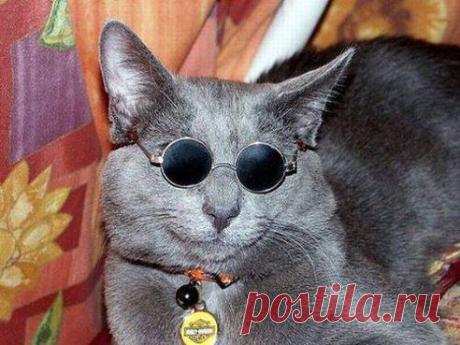 я уеду жить в ЛОНДОН!котолепс.
ღ Наслаждаться жизнью ღ