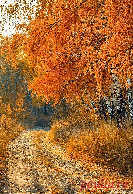 Россия / Russia   |   Pinterest