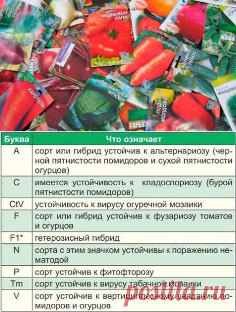Что написано на пакетиках с семенами Покупая семена овощей и цветов, в первую очередь мы обращаем внимание на красивую упаковку с яркими картинками.А знатоки советуют обратить внимание не только на упаковку, но и на зашифрованную информацию, «прочитав» которую, вы сможете понять – сорт это или гибрид, устойчив ли к...