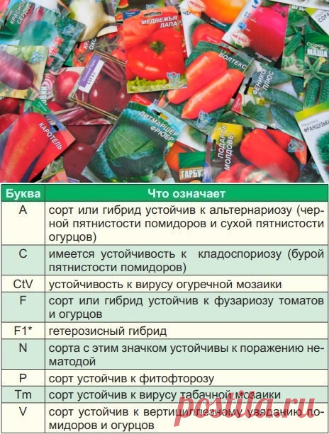 Что написано на пакетиках с семенами Покупая семена овощей и цветов, в первую очередь мы обращаем внимание на красивую упаковку с яркими картинками.А знатоки советуют обратить внимание не только на упаковку, но и на зашифрованную информацию, «прочитав» которую, вы сможете понять – сорт это или гибрид, устойчив ли к...