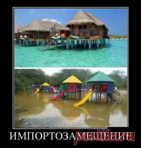 Новая порция демотиваторов / Приколы