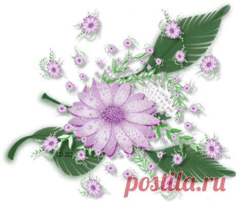 цветочные декоративные элементы png