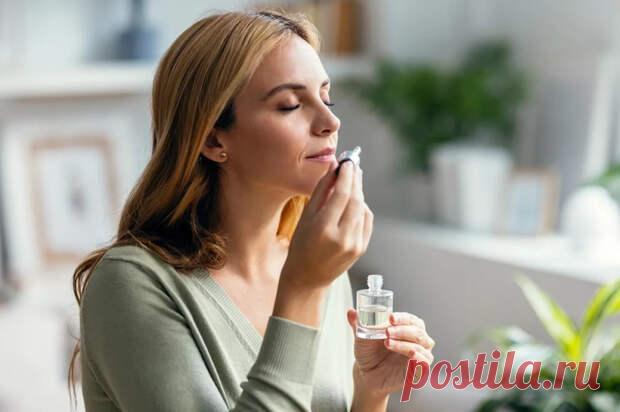 Ароматы любви, боли и смерти. ЛОР-врач Лебедева раскрыла секреты обоняния - ПолонСил.ру - социальная сеть здоровья - Медиаплатформа МирТесен 27 апреля — Международный день обоняния. Дата праздника выбрана в 1994 году по инициативе Всемирной организации здравоохранения и приурочена ко дню рождения французского парфюмера Жака Куртена, который родился в этот день в 1759 году. Почему запахи влияют на память и эмоции, чем пахнут туберкулез и - 29 апреля - 43286873570 - Медиаплатформа МирТесен