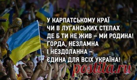 (81) Одноклассники