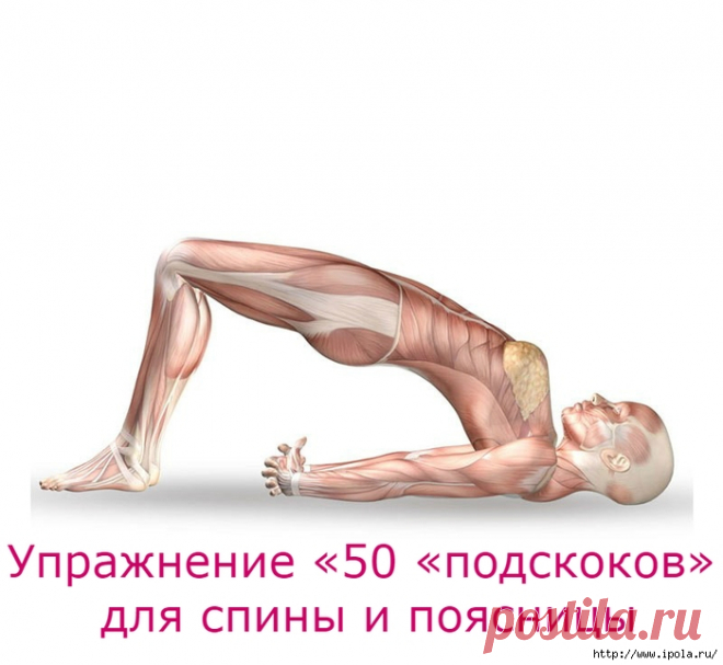 Упражнение «50 «подскоков» для спины и поясницы