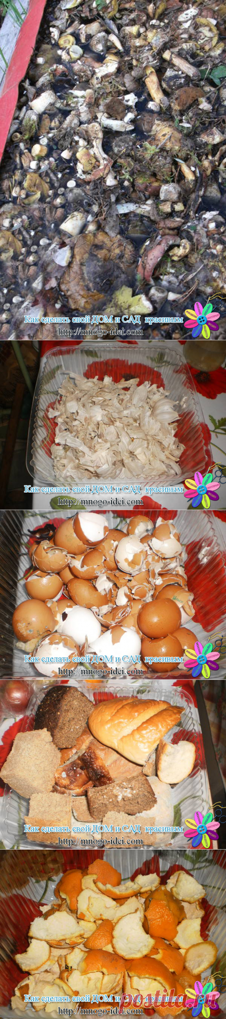 Удобрение для дачи.