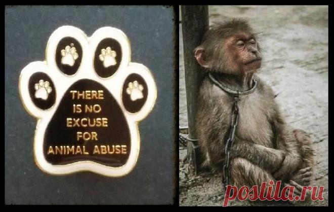 (253) Твиттер