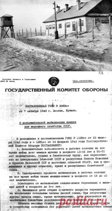 Лица преступной национальности | БЕЛЫЕ СТРАНИЦЫ ИСТОРИИ