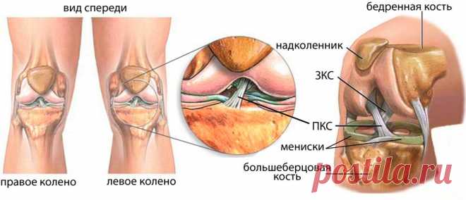 Укрепление сухожилий и связок