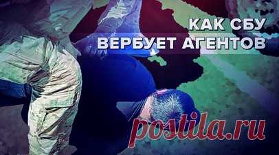 Устрашение и подкуп: как СБУ вербует агентов для совершения терактов в России. Корреспондент RT Сами Абу Деяб узнал, какими способами СБУ вербует мирных жителей и вынуждает их совершать теракты на территории России. Таких агентов киевского режима оперативно находят сотрудники ФСБ. На допросе задержанные рассказывают, что работали на СБУ из-за страха, подкупа или ради мести. Подробности — в материале RT. Читать далее