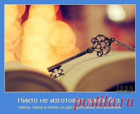 Что и как делают успешные сетевики, в

 отличии  от необученного дистрибьютора?