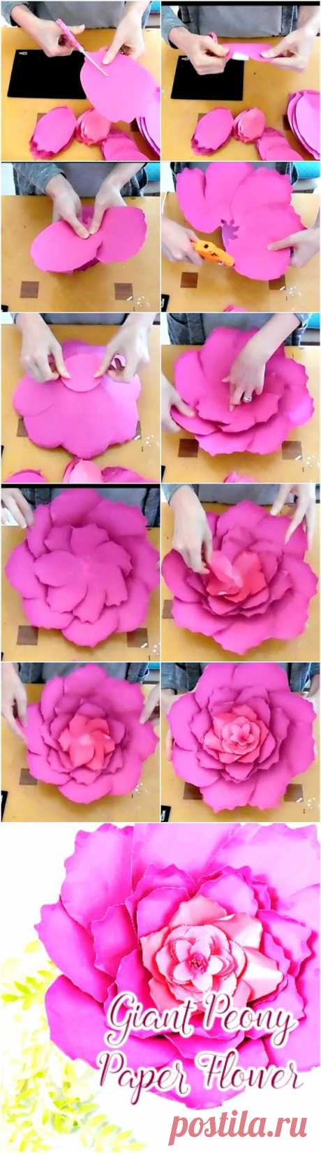 (97) Giant peony, paper flower templates and tutorials. Paper flower patterns. DIY… | 15 años