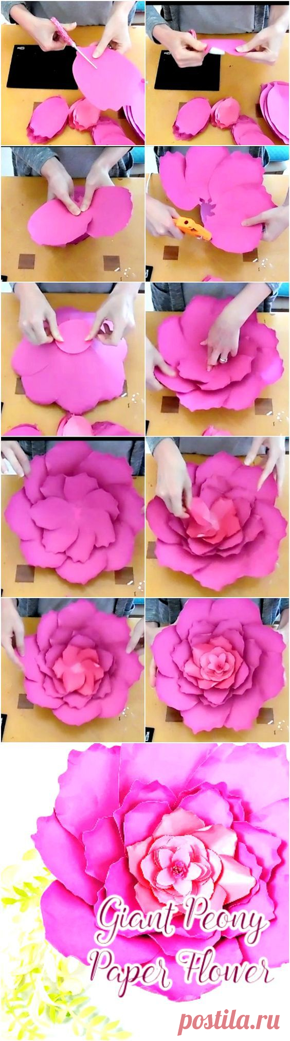 (97) Giant peony, paper flower templates and tutorials. Paper flower patterns. DIY… | 15 años