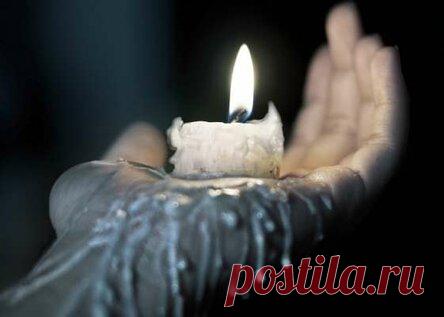 Волки в овечьих шкурах: какие люди запросто предадут ваше доверие