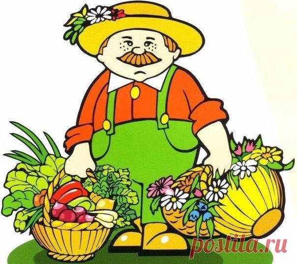 ПАМЯТКА САДОВОДУ-ОГОРОДНИКУ СОХРАНИТЕ, ЧТОБЫ НЕ ПОТЕРЯТЬ!

Лук
- Перед посадкой: 1 ст.ложка соли на 1 литр воды залить на 3 часа.
- После соли: темный раствор марганцовки на 2 часа. Обязательно промыть.
- От луковой мухи: 1. Появился первый листочек 1) Проливаем водой. 2) Полив 2 ст.ложки нашатырный спирт на ведро воды (3 лейки на 6п.м.грядки) 3) Проливаем водой. 2. Через 10-14 дней. По той же схеме полив 1ст.ложка соли на 1 литр воды 3. Через 10 дней. По той же схеме поли...