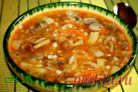 Щи грибные с перловкой и квашеной капустой