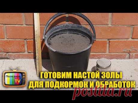 ГОТОВИМ НАСТОЙ ЗОЛЫ ДЛЯ ПОДКОРМОК И ОБРАБОТОК