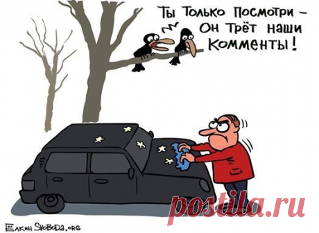 На всякий случай: avmalgin