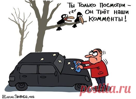 На всякий случай: avmalgin