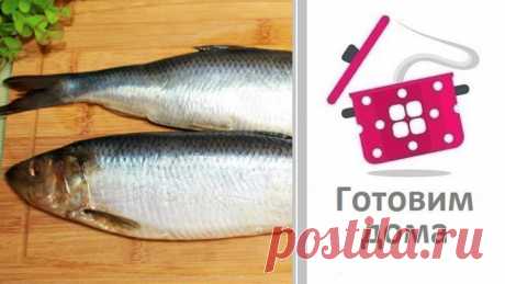Три самых простых и самых вкусных рецепта из селедки.