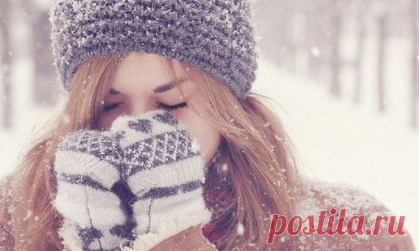 Какое блаженство, что блещут снега, что холод окреп, а с утра моросило, что дико и нежно сверкает фольга на каждом углу и в окне магазина. Пока серпантин, мишура, канитель восходят над скукою прочих имуществ, томительность предновогодних недель терпеть и сносить — что за дивная участь! Какая удача, что тени легли вкруг елок и елей, цветущих повсюду, и вечнозеленая новость любви душе внушена и прибавлена к чуду. Откуда нагрянули нежность и ель, где прежде таились и как сговорились! Как дети,…