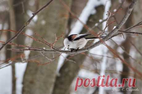 Ополовник, включая вид сзади! - Жизнь в кадре и за кадром