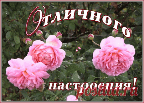 Открытка прекрасного настроения с розами