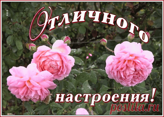 Открытка прекрасного настроения с розами