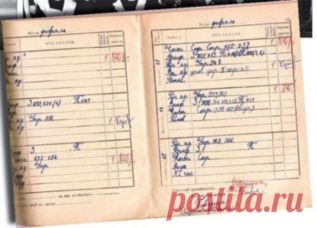 Папа учился без двоек....