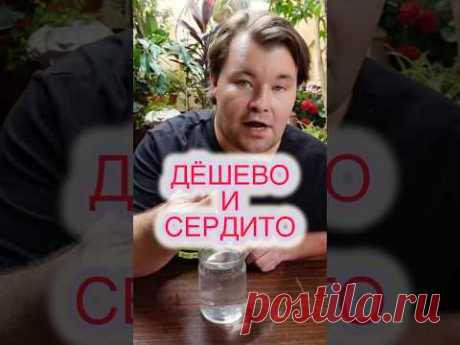САМАЯ БЮДЖЕТНАЯ ПОДКОРМКА ДЛЯ ВСЕХ ВАШИХ РАСТЕНИЙ - ОБЫЧНЫЕ #ДРОЖЖИ.