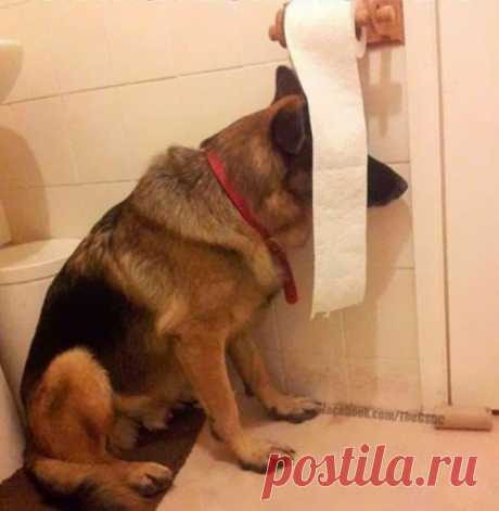 Игра в прятки