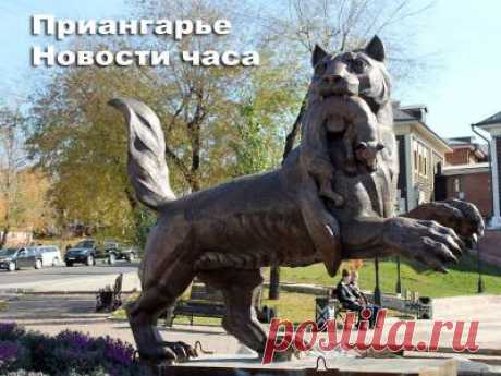 Новости Приангарья. От злой собаки на байкальском тракте до &quot;Единой России&quot; в Шелехово - 30 Марта 2016 - Russia-Asia-Siberia