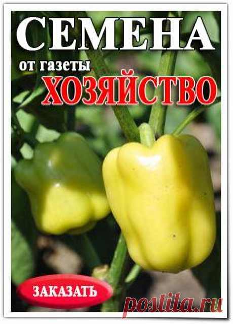 Печь-ракета своими руками