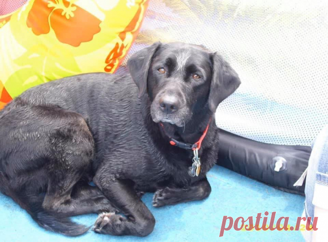 Alan Christenson | Facebook