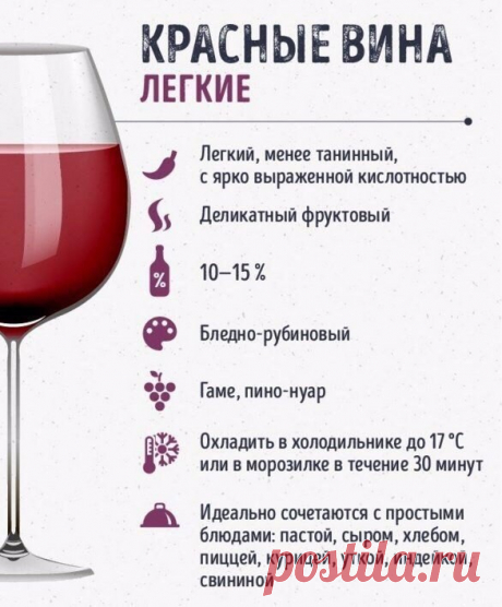 Шпаргалки для тех, кто любит вино — Кулинарная книга - рецепты с фото