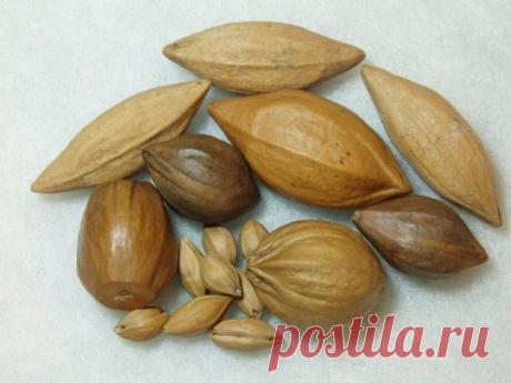 Вы будете удивлены: плодовые косточки иногда полезнее, чем сами фрукты - Искусство здоровой жизни