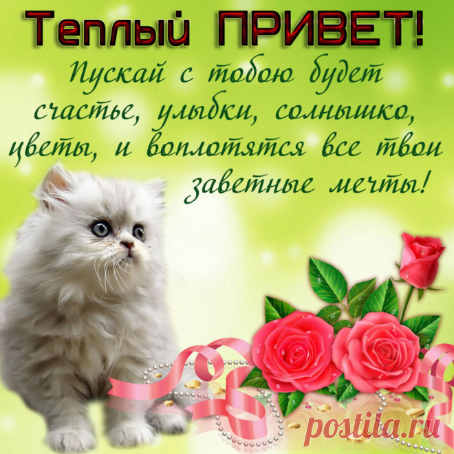 Теплый привет от меня!