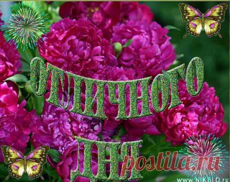 Если будни твои – не сахар
И на вкус твоя жизнь - не мёд,
Нужно верить хорошим знакам,
Нужно верить – и всё пройдёт!
Если бьёшься в глухую стену,
Упираясь душой в тупик,
Помни: время твоё бесценно,
Ни к чему согревать ледник!
Улыбайся любой погоде,
Сохраняя благой мотив,
Если люди опять уходят,
Значит, с ними не по пути!
Никогда не ворчи угрюмо,
Будь теплом, что растопит снег.
Если ты отступаешь, думай:
«Для того, чтобы взять разбег!».